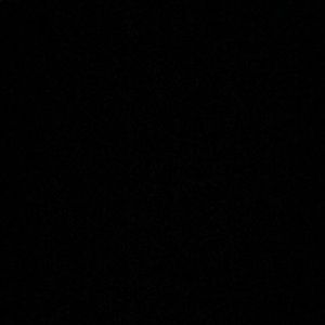 Meet your Posher, Allie